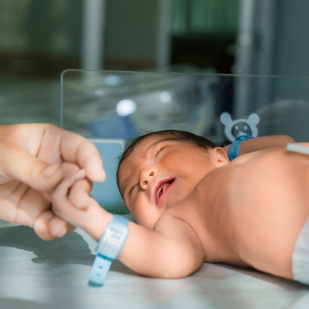 Lee más sobre el artículo Anatomía del neonato